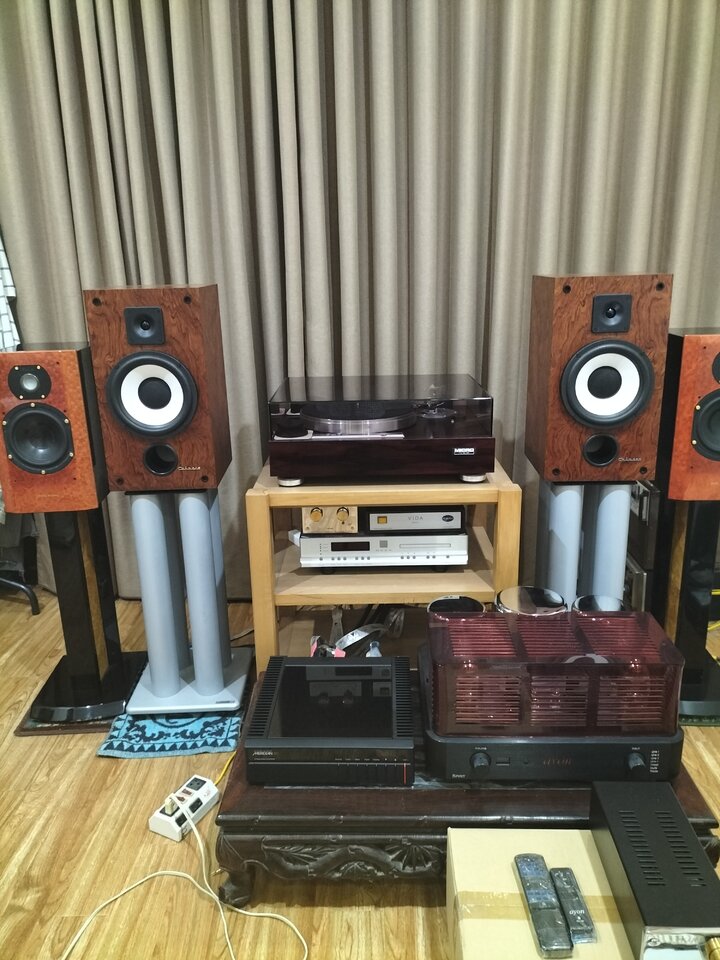 IMG20241108155328.jpg