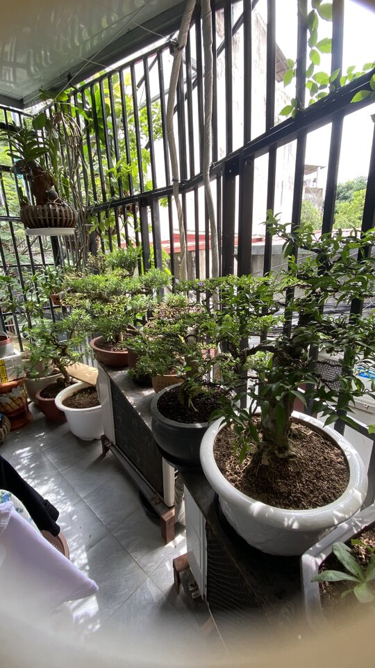 IMG_0521.jpeg