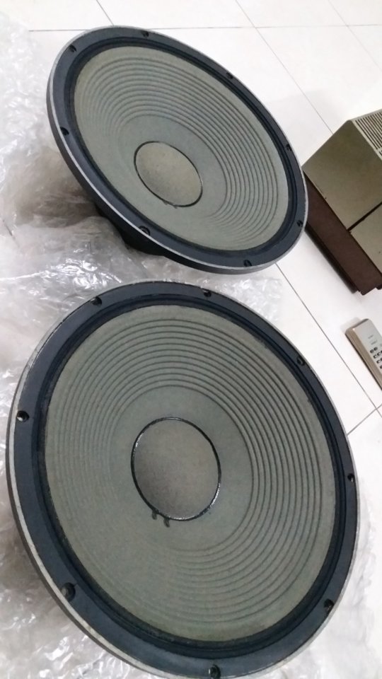 IMG_20190110_210234.jpg