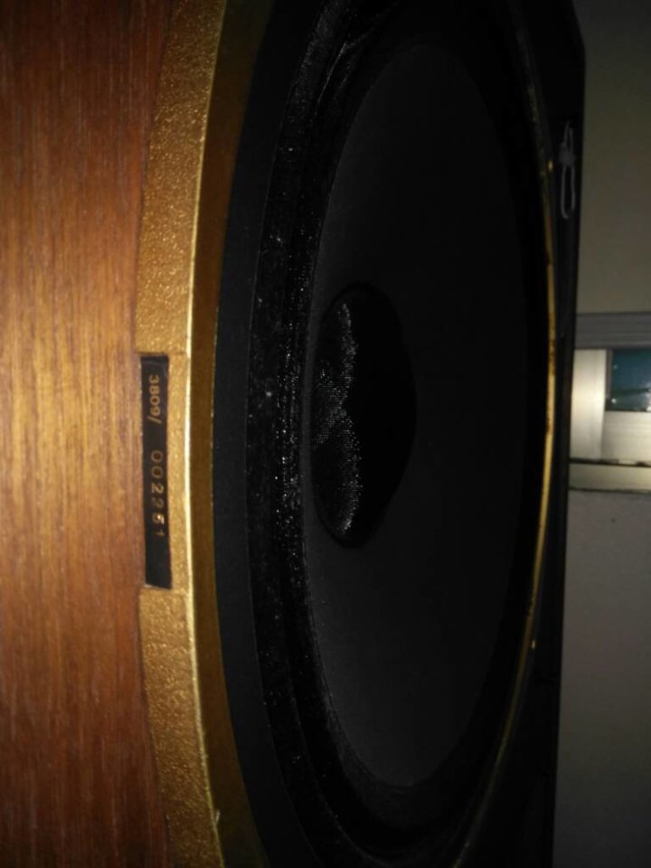 IMG_20190509_103427.jpeg