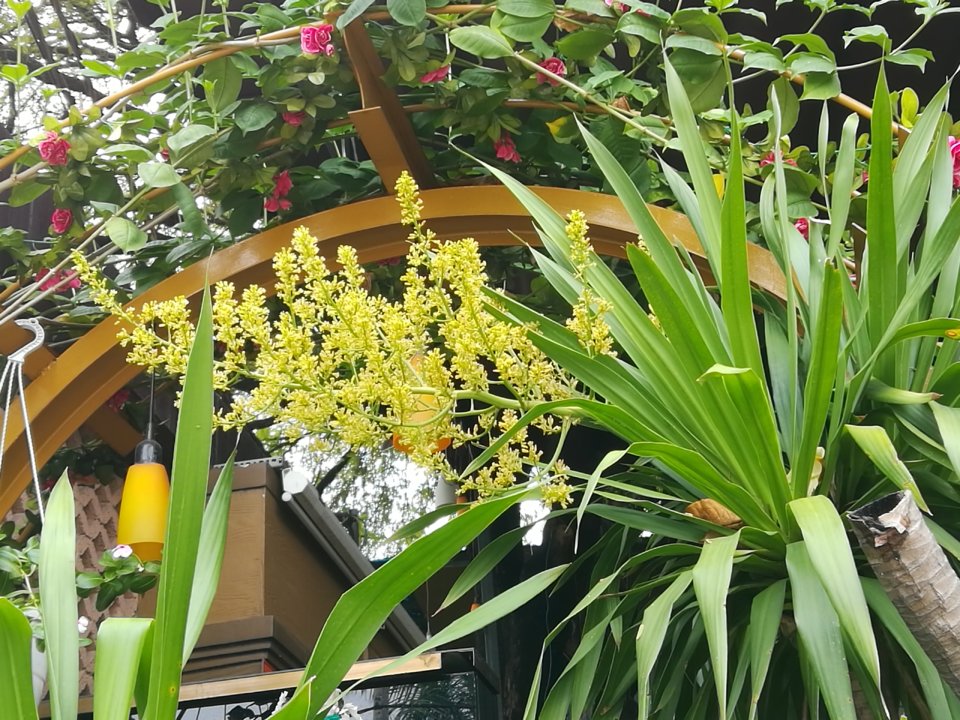 IMG_20190510_092336.jpg