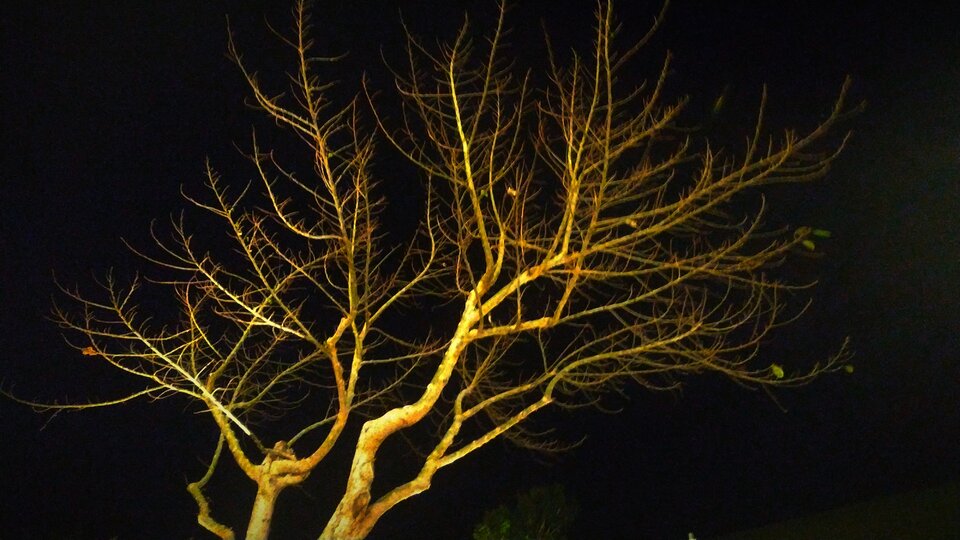 IMG_20231231_201113.jpg