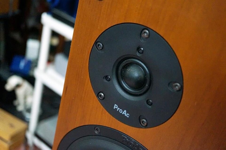 IMG_2220.jpeg