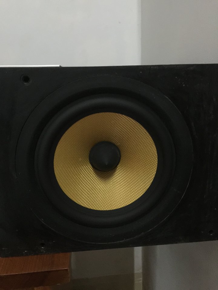 IMG_2317.jpg