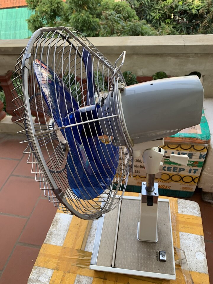 IMG_3809.jpeg