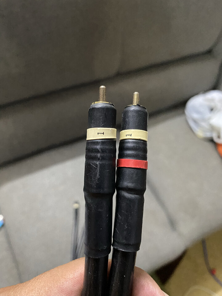 IMG_3897.jpg
