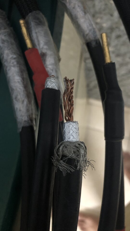 IMG_5151.jpeg