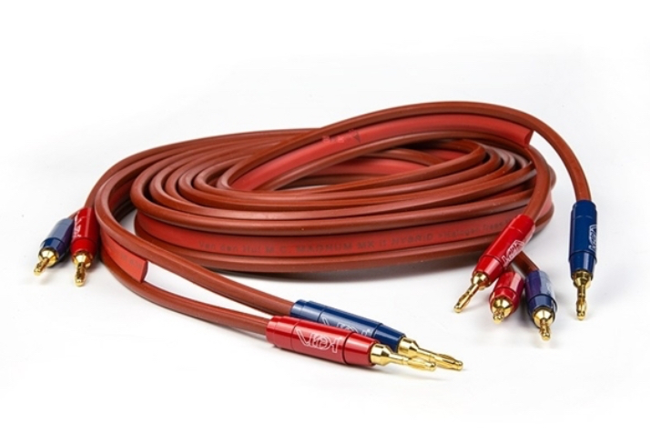 IMG_6707.jpeg