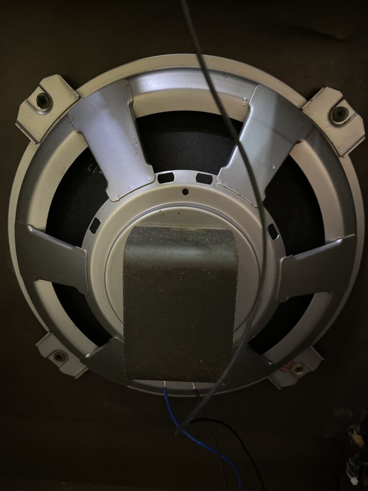 IMG_7312.JPG