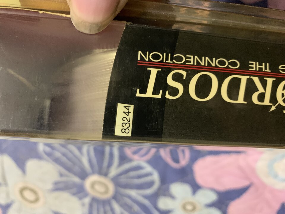 IMG_8248.jpeg