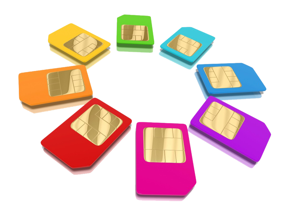 IMG_8403.png