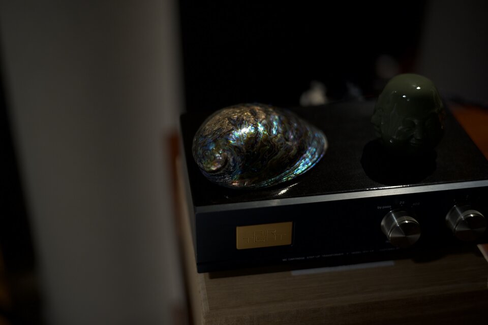 L1008342.JPG