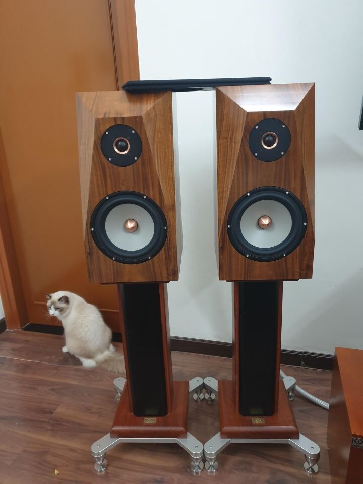Loa Avalon DIY 2.jpg