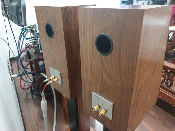 Loa Avalon DIY rear 1.jpg