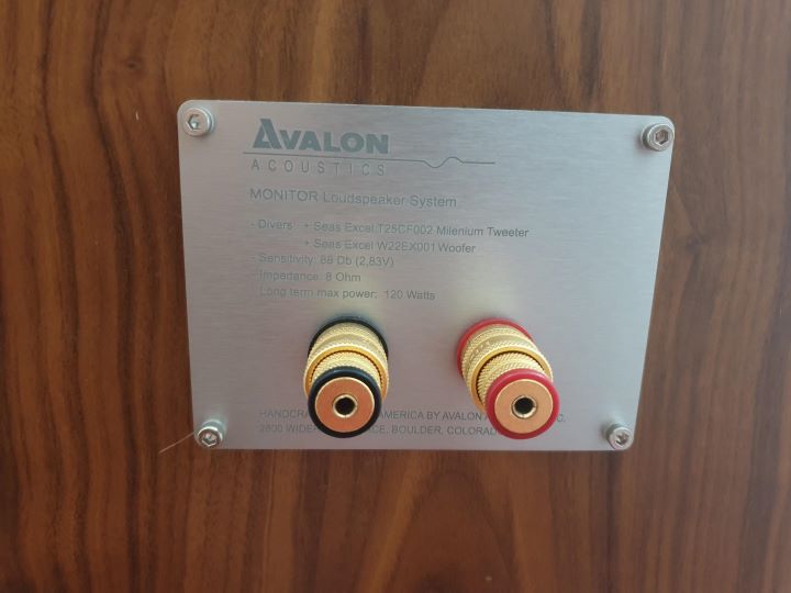 Loa Avalon DIY rear 2.jpg