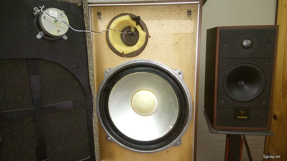 loa leak 600 (1).JPG