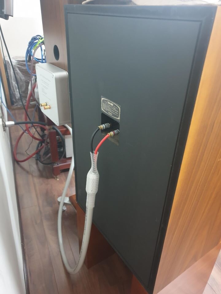 Loa tannoy Impulse 15 3.jpg