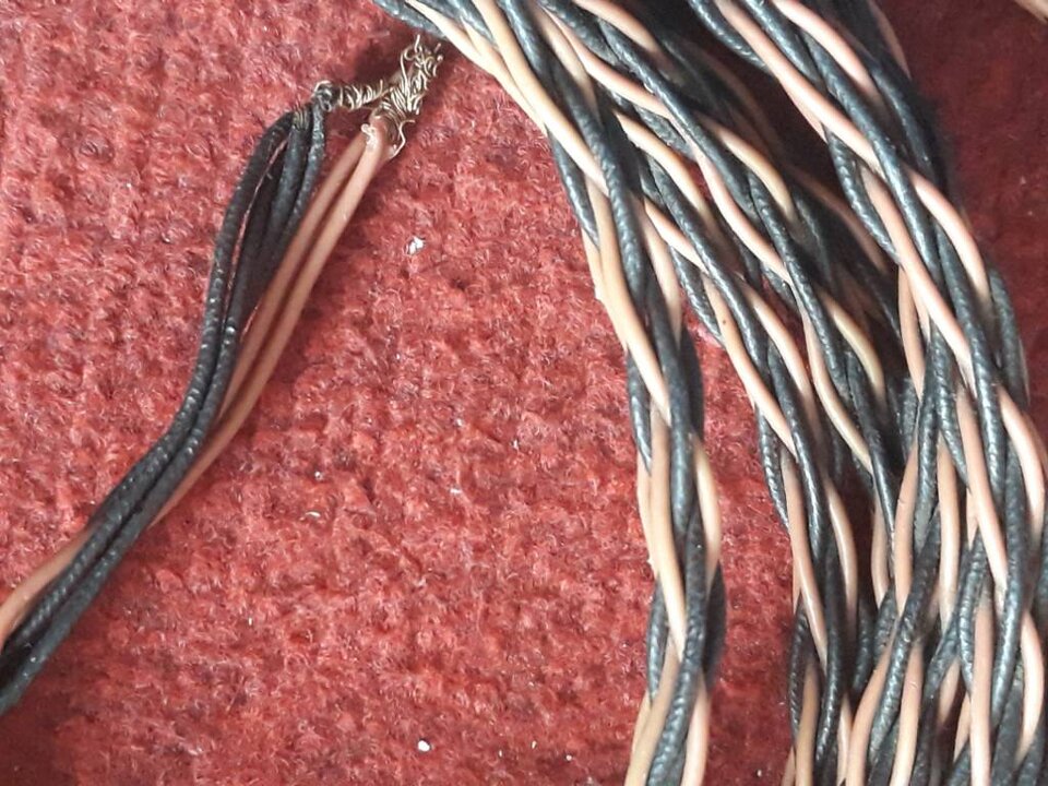 Magnifier_20220123_113356.jpg