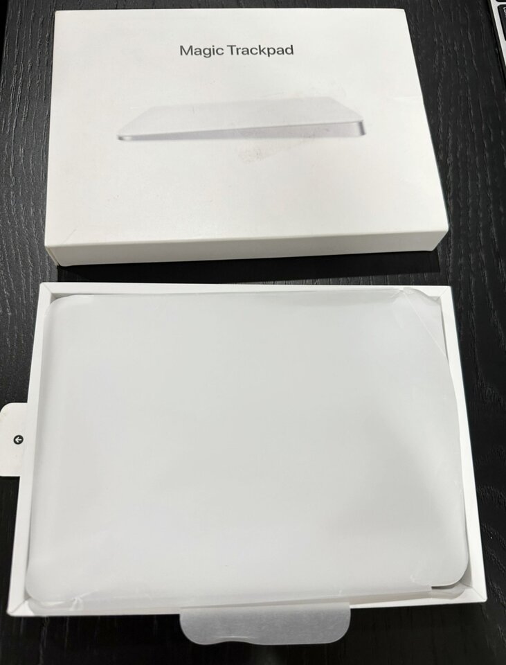 Man LG 12.jpg