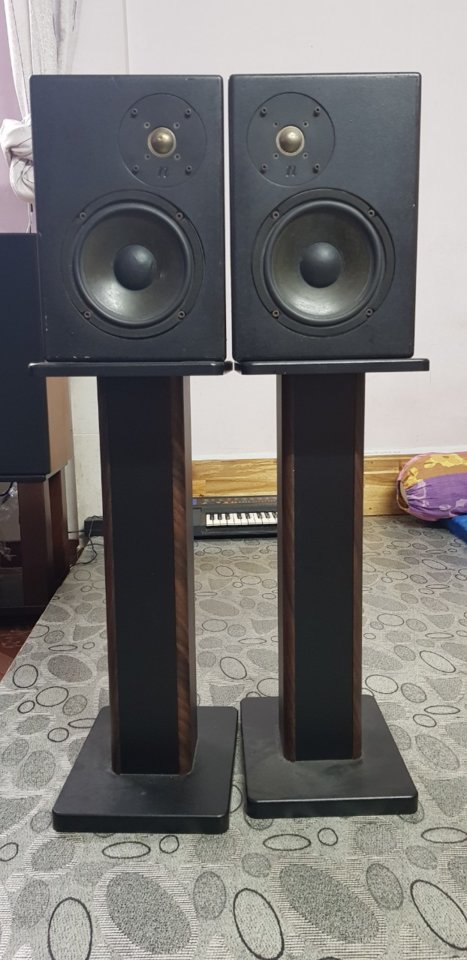 Neat Acoustic Critique 3.jpg