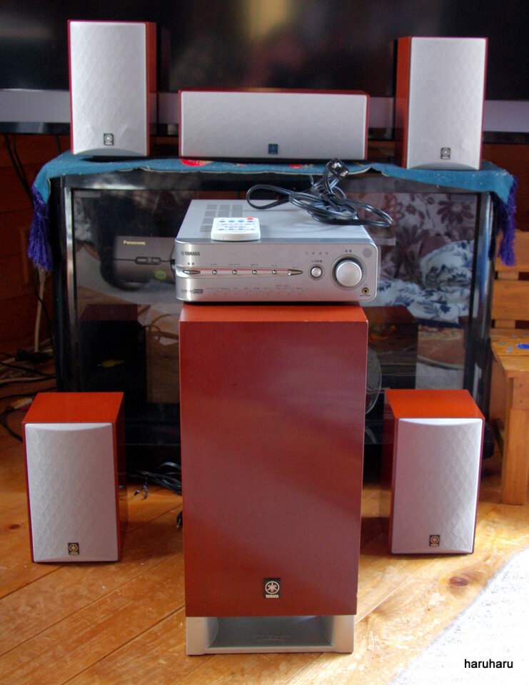 o0800103613474187560.jpg