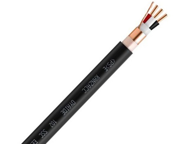 OYAIDE-EE-_-F-S2.6-V2-Power-cable-102-SSC-01.jpg