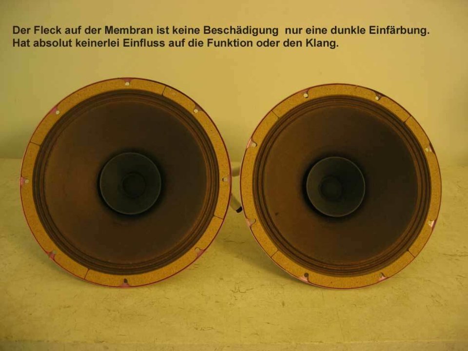 p4.jpg