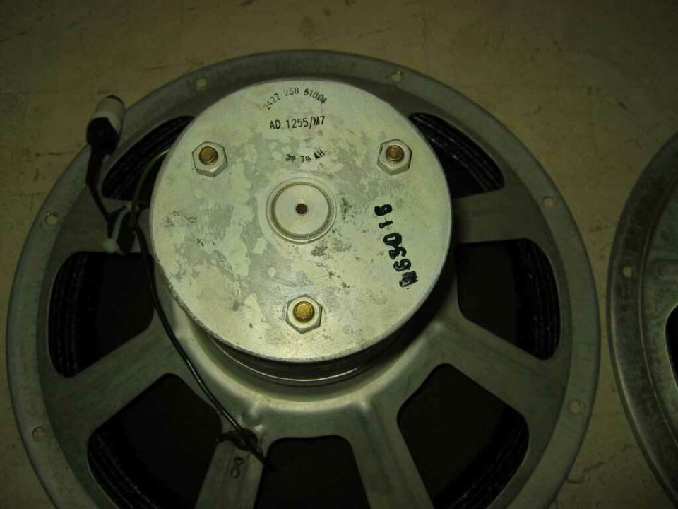 p5.jpg