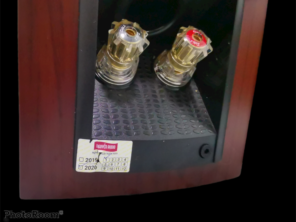 PhotoRoom-20210302_221222.png