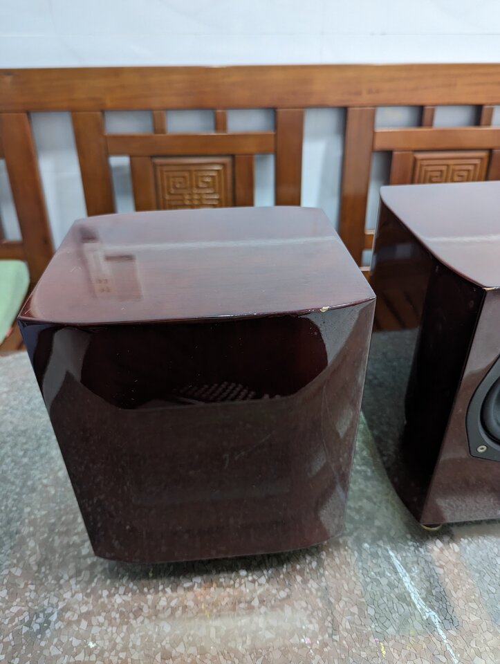 PXL_20230214_140756582.jpg