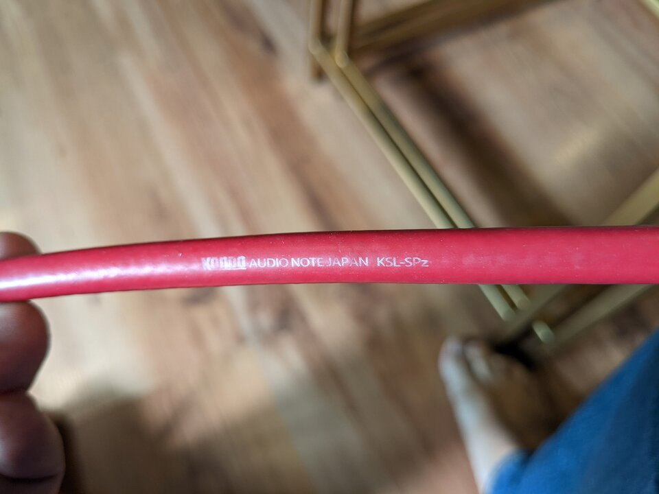 PXL_20230409_011824647.MP.jpg