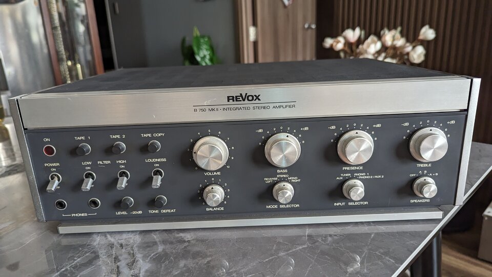 PXL_20240406_095452010.jpg