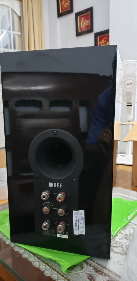 R300.3.jpg