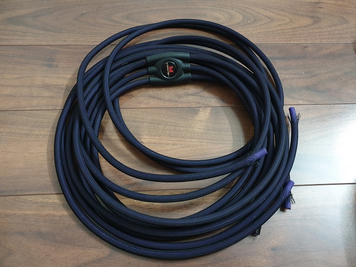 RCA monster 1.jpg