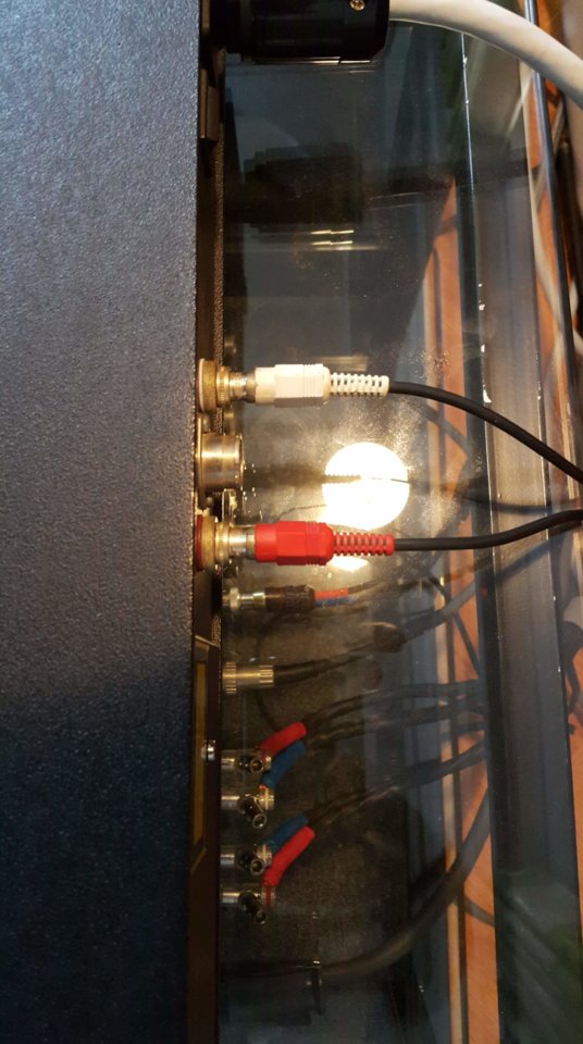 received_1720448478002634.jpeg