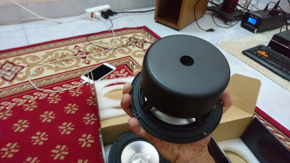 received_1744551375852495.jpeg