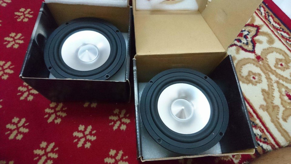 received_1744551379185828.jpeg