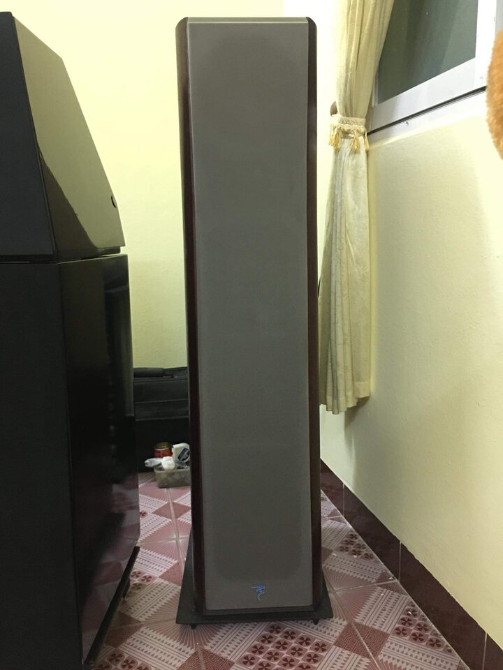 received_402232681152545.jpeg