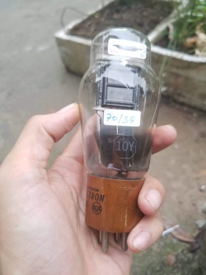 received_512887559212835.jpeg
