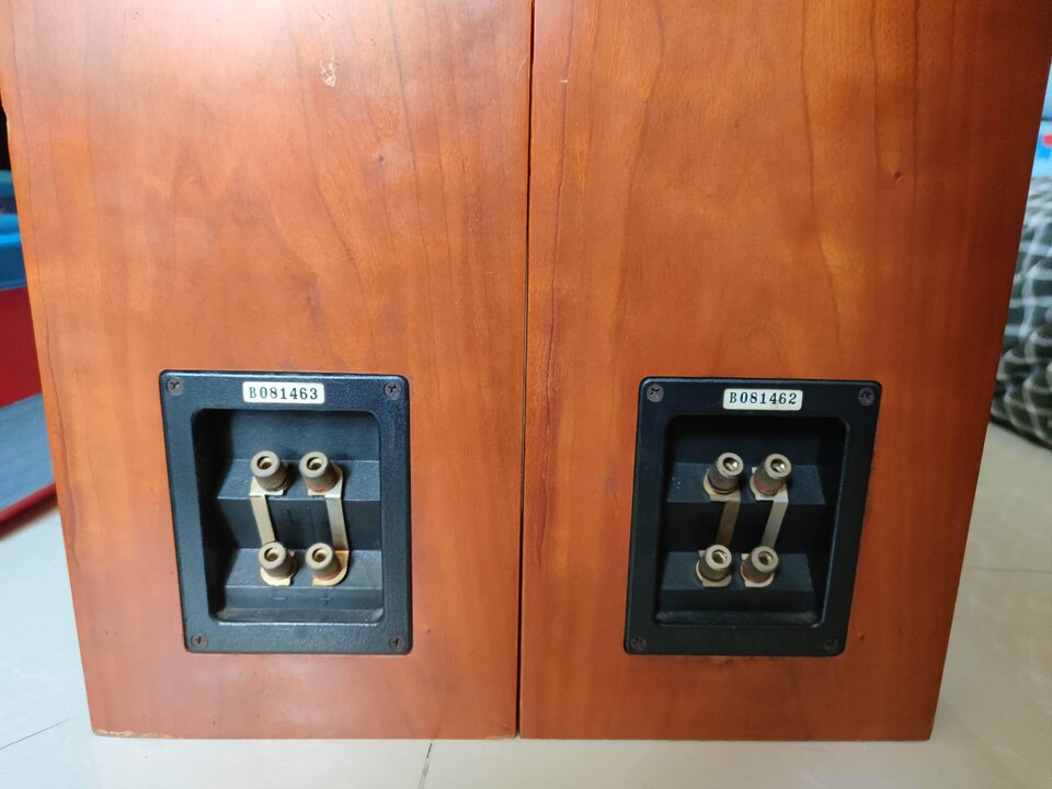 received_793535141253890.jpeg