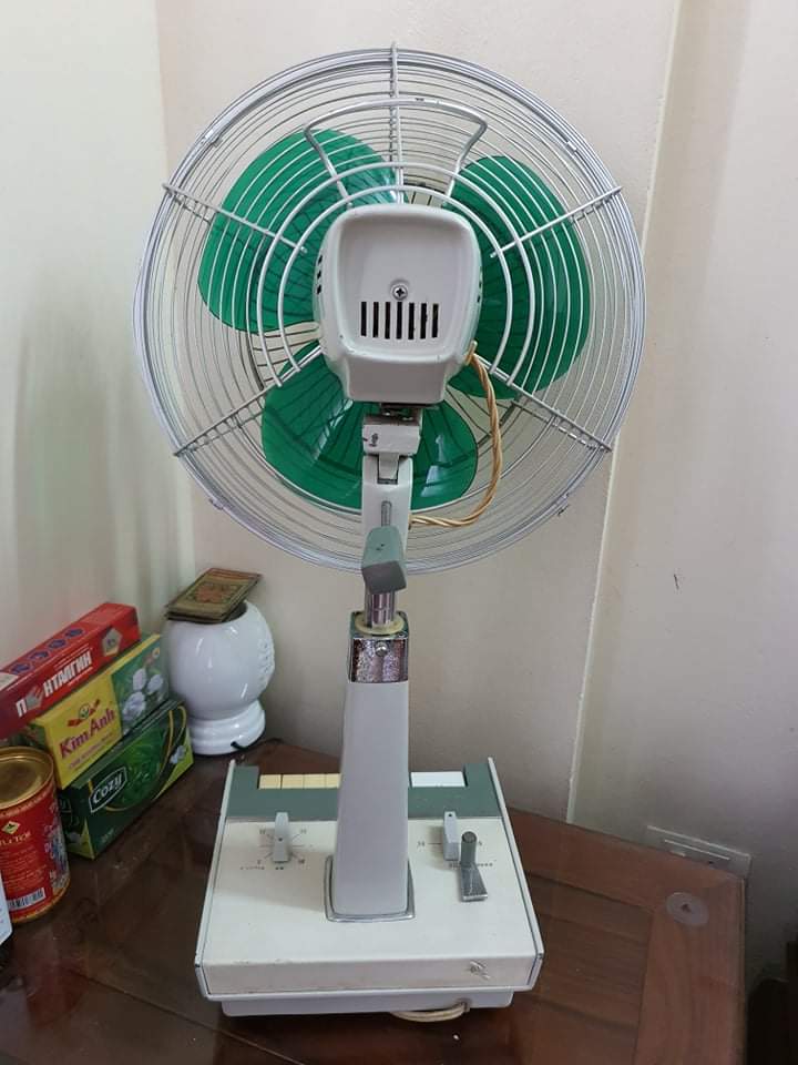 received_928470738016667.jpeg