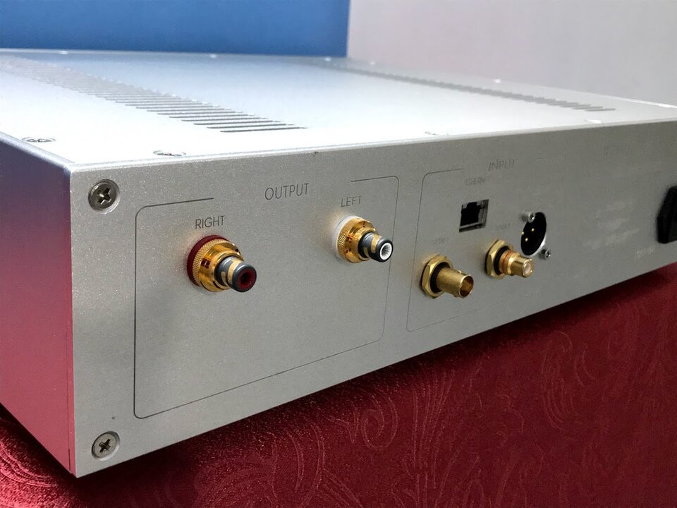 Renolabs DAC 1.jpg