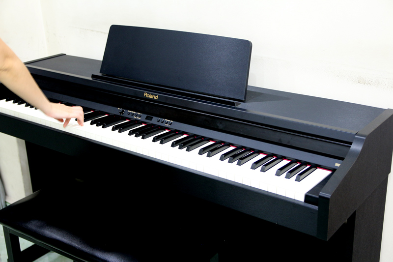 Roland-RP301-open.jpg