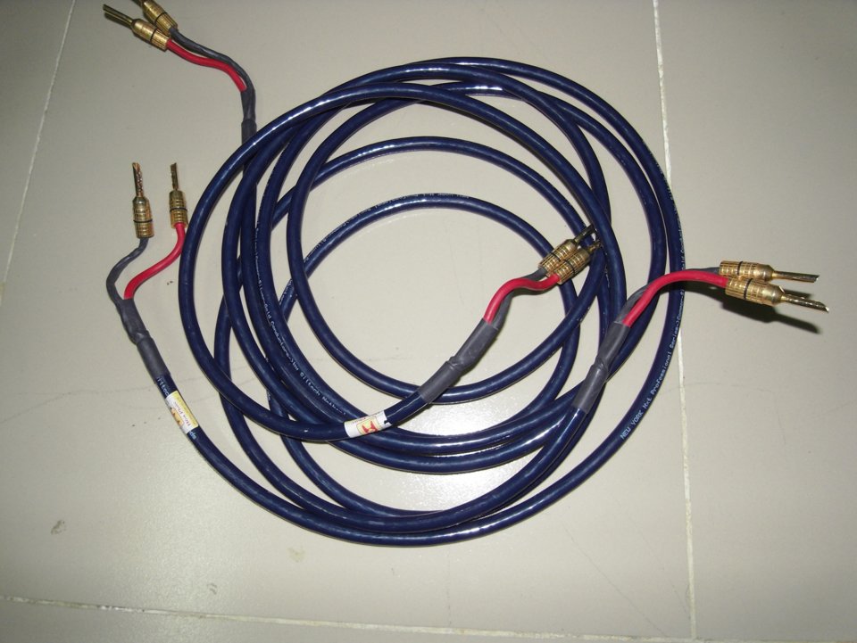 SDC12663.JPG