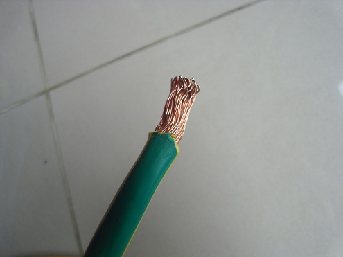 SDC13924.JPG