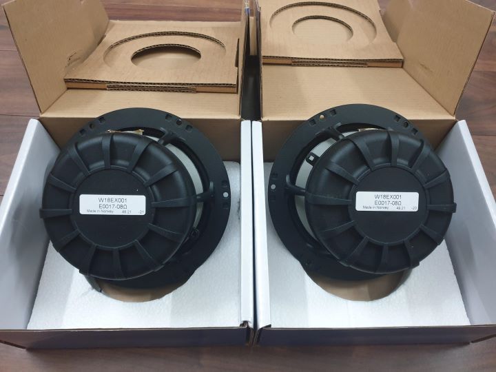 Seas Woofer W18EX001 in rear.jpg