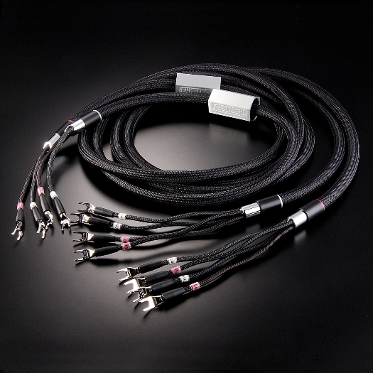 Speaker-Ref-III-N1-Biwire.jpg