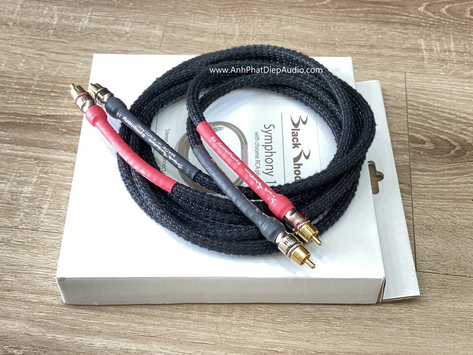 Symphony 8 RCA TL.2024 up 1.jpg