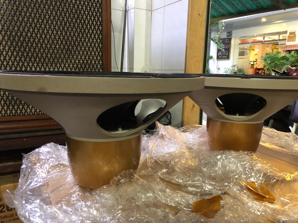 t3.jpg