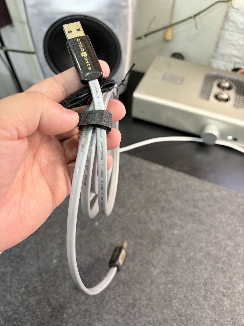 USB day.jpg